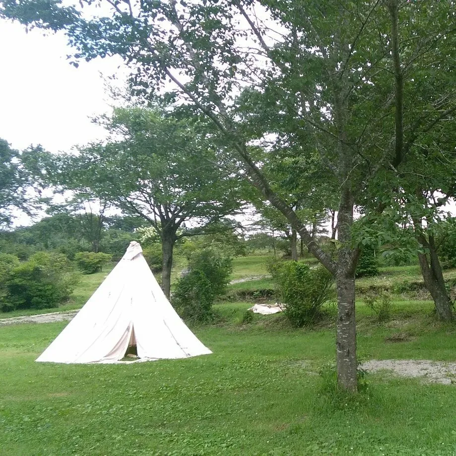 目的に合わせて選べるプランをご用意