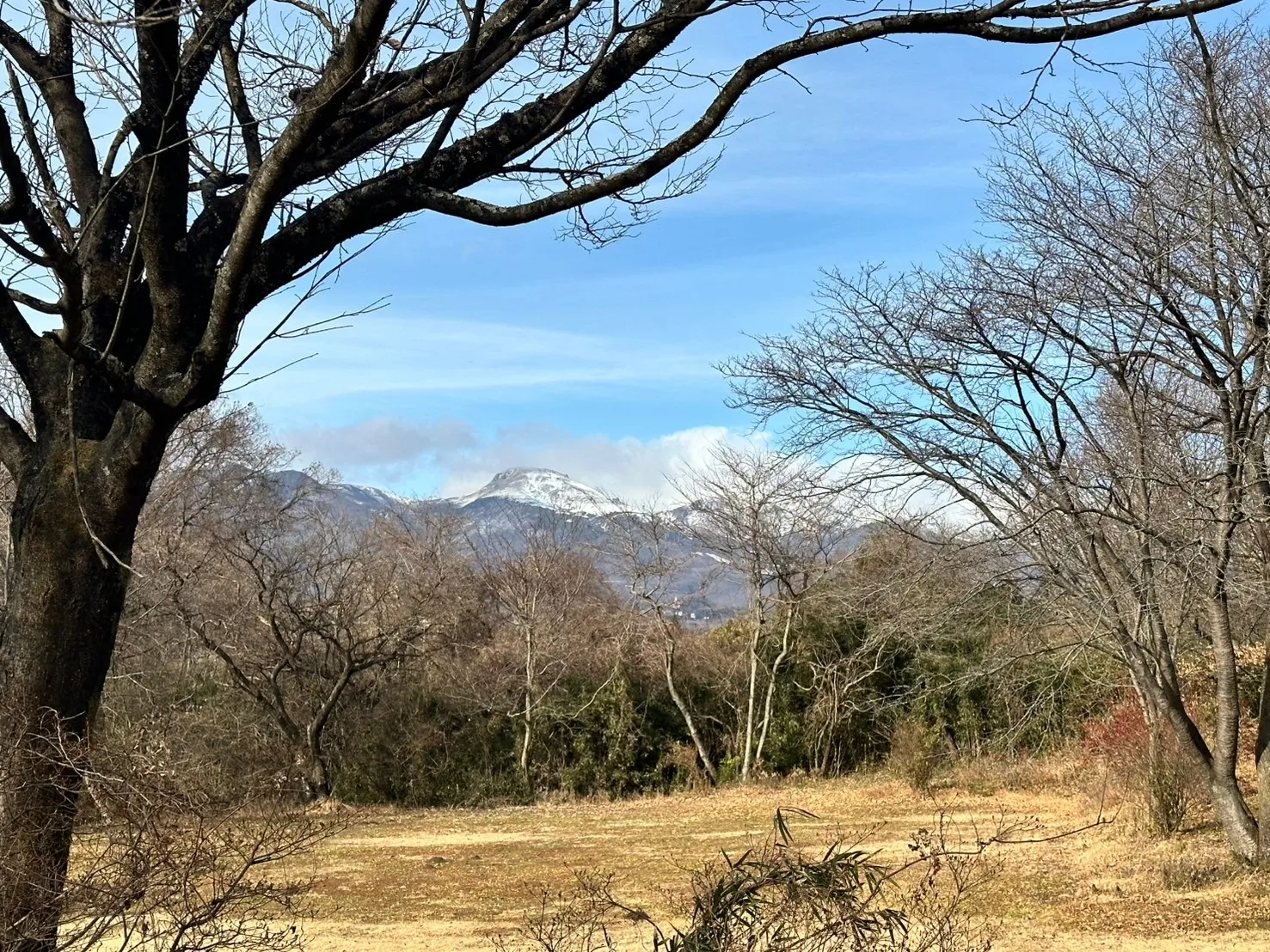 これまで寄せられたご質問と回答