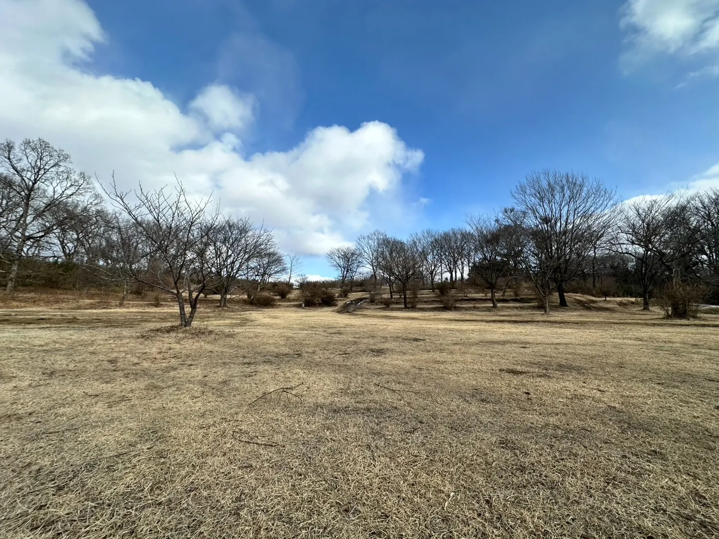 有限会社大森英数教室