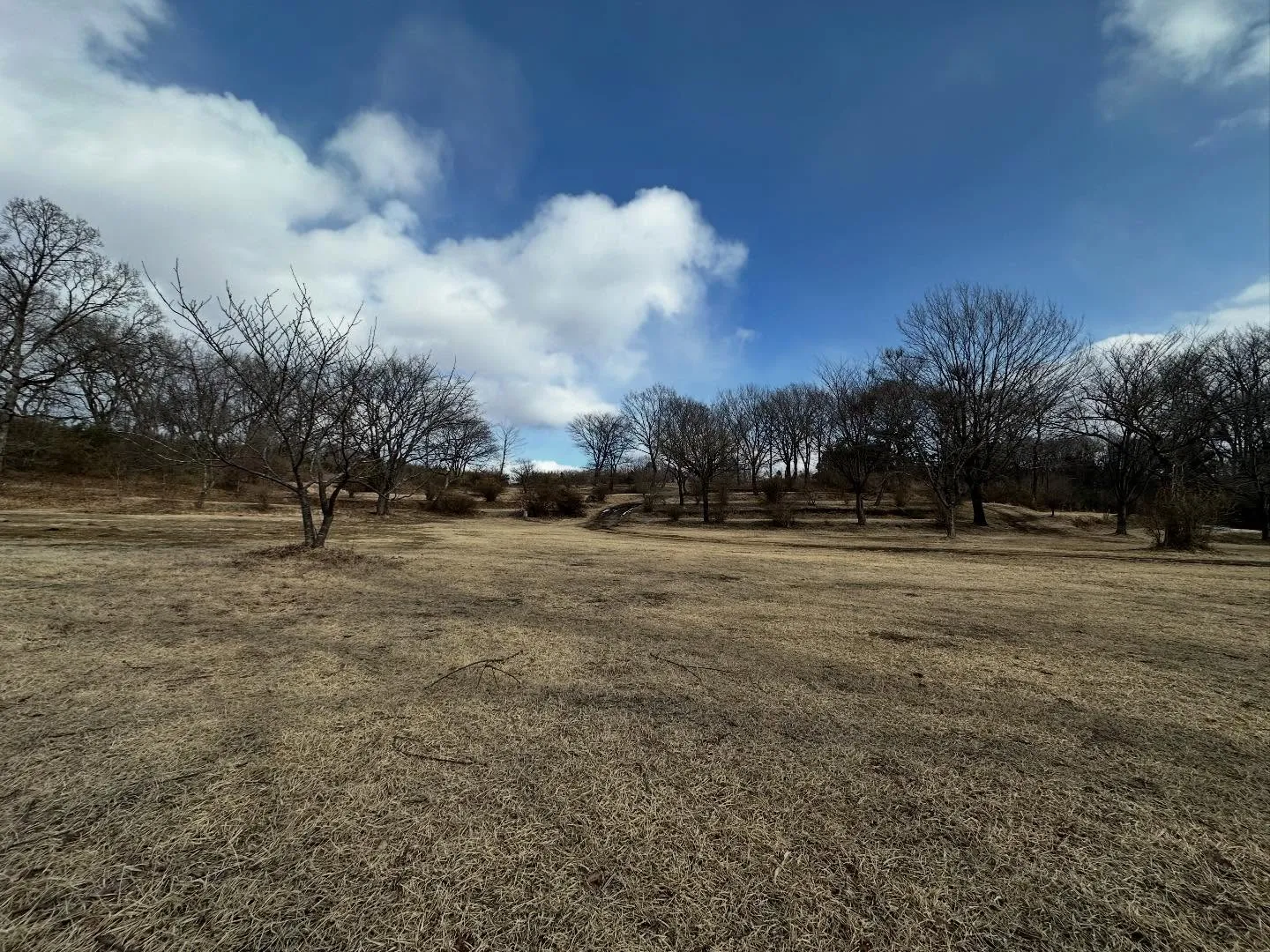 現在の場内の状況です。