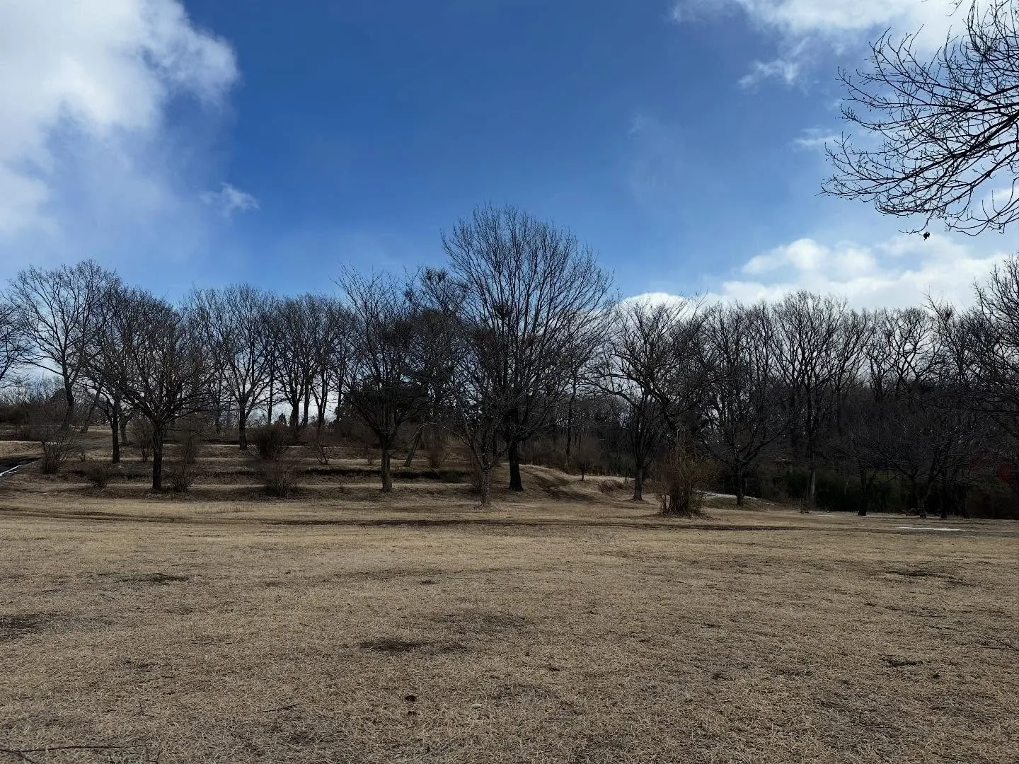 現在の場内の状況です。