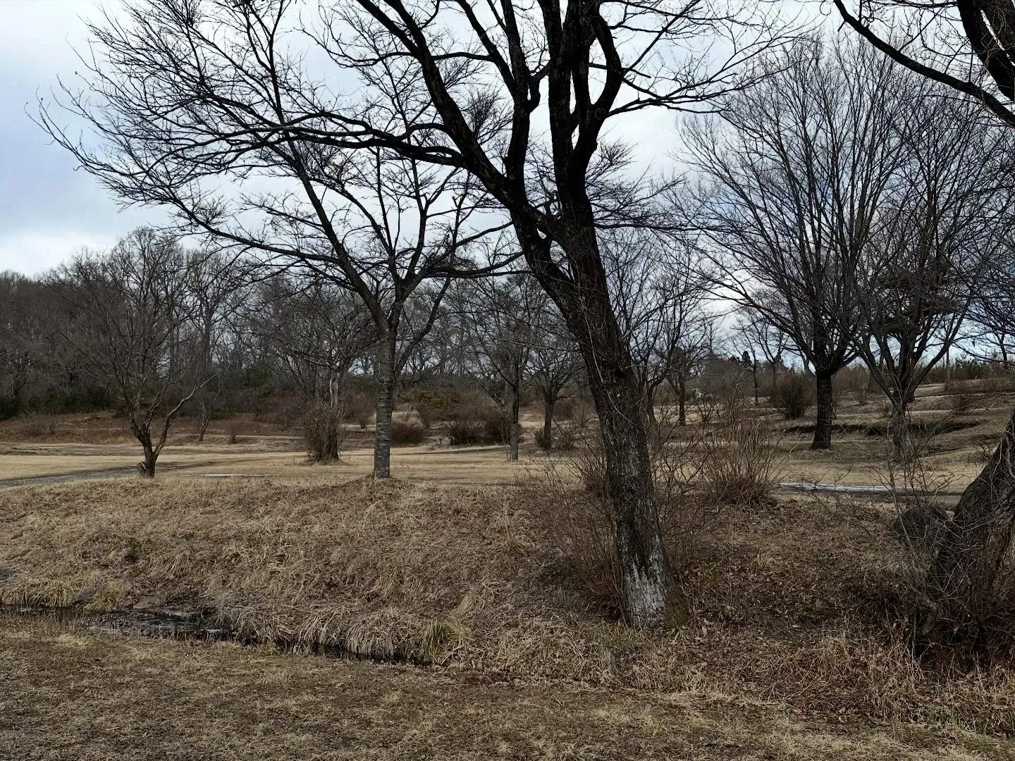 現在の場内の状況です。