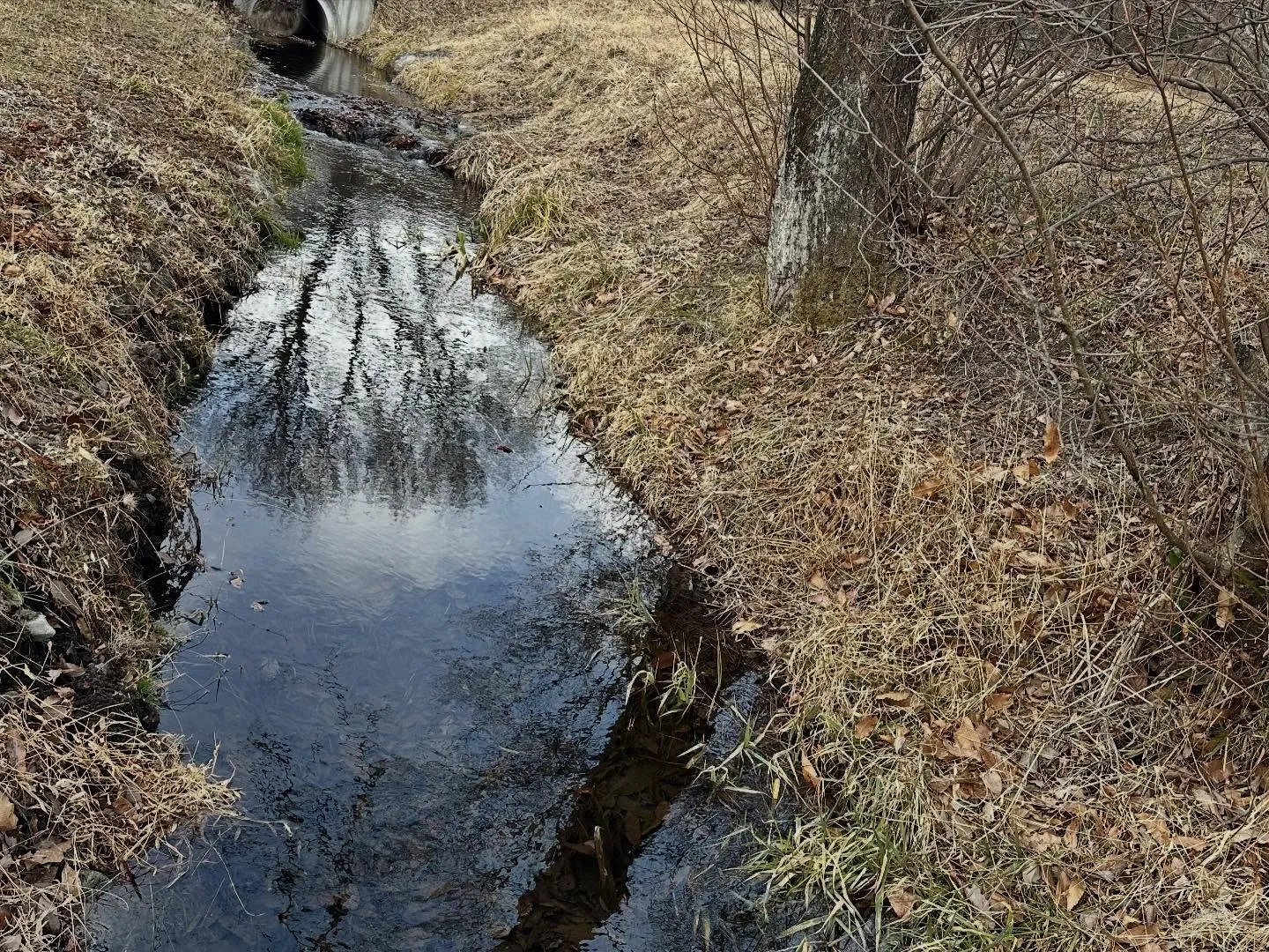 現在の場内の状況です。