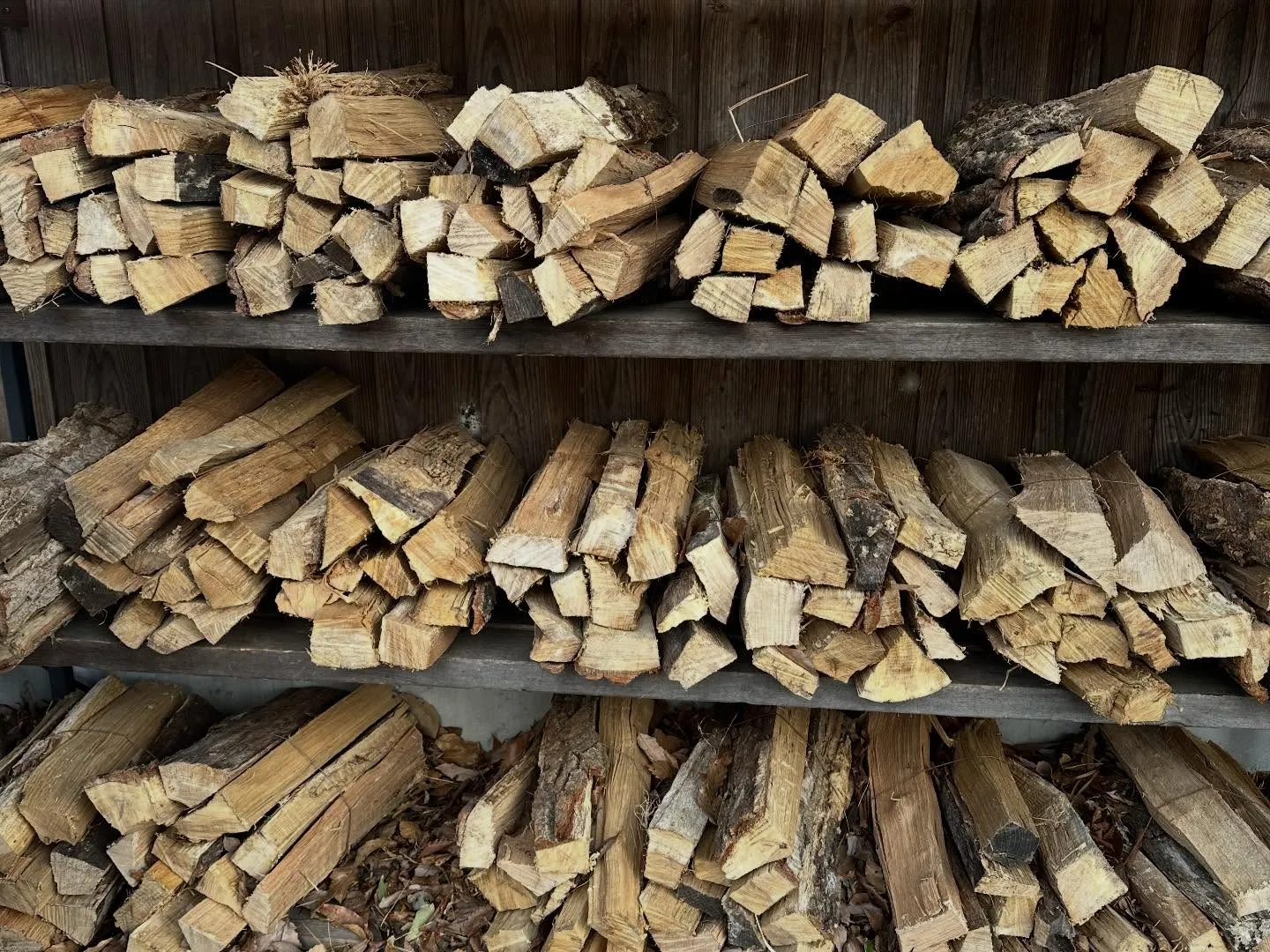 現在の場内の状況です。