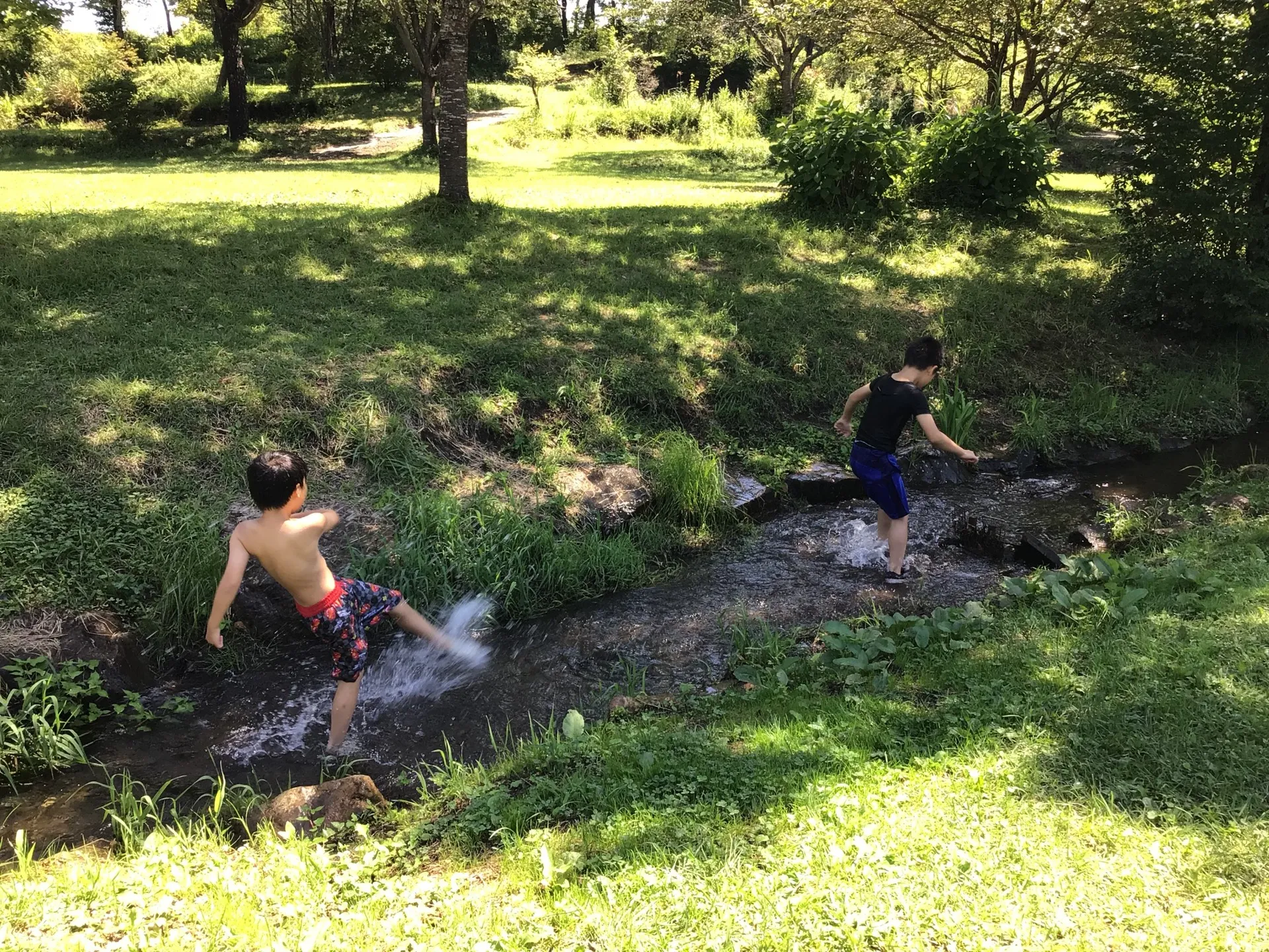 有限会社大森英数教室