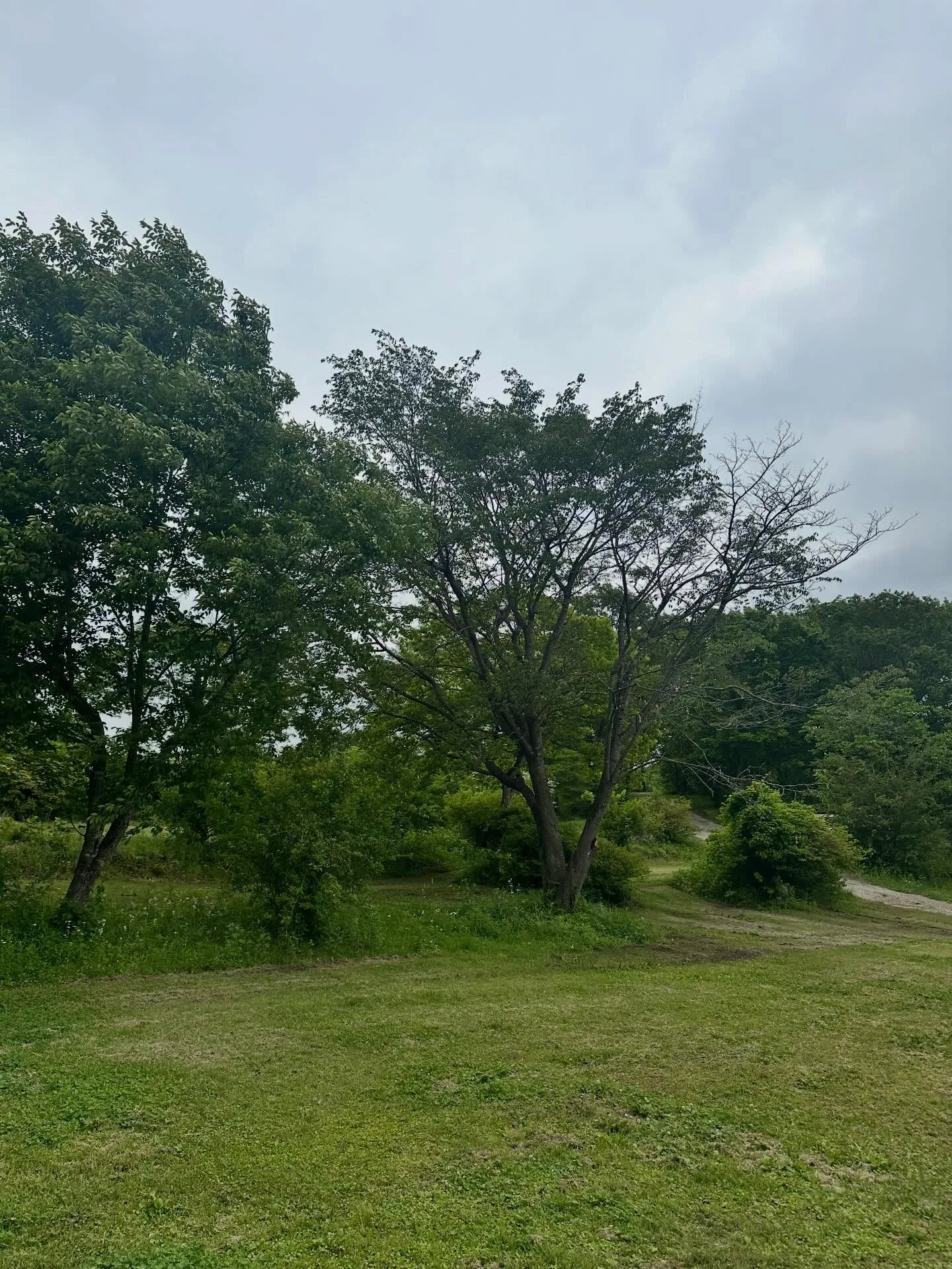 那須でキャンプ
