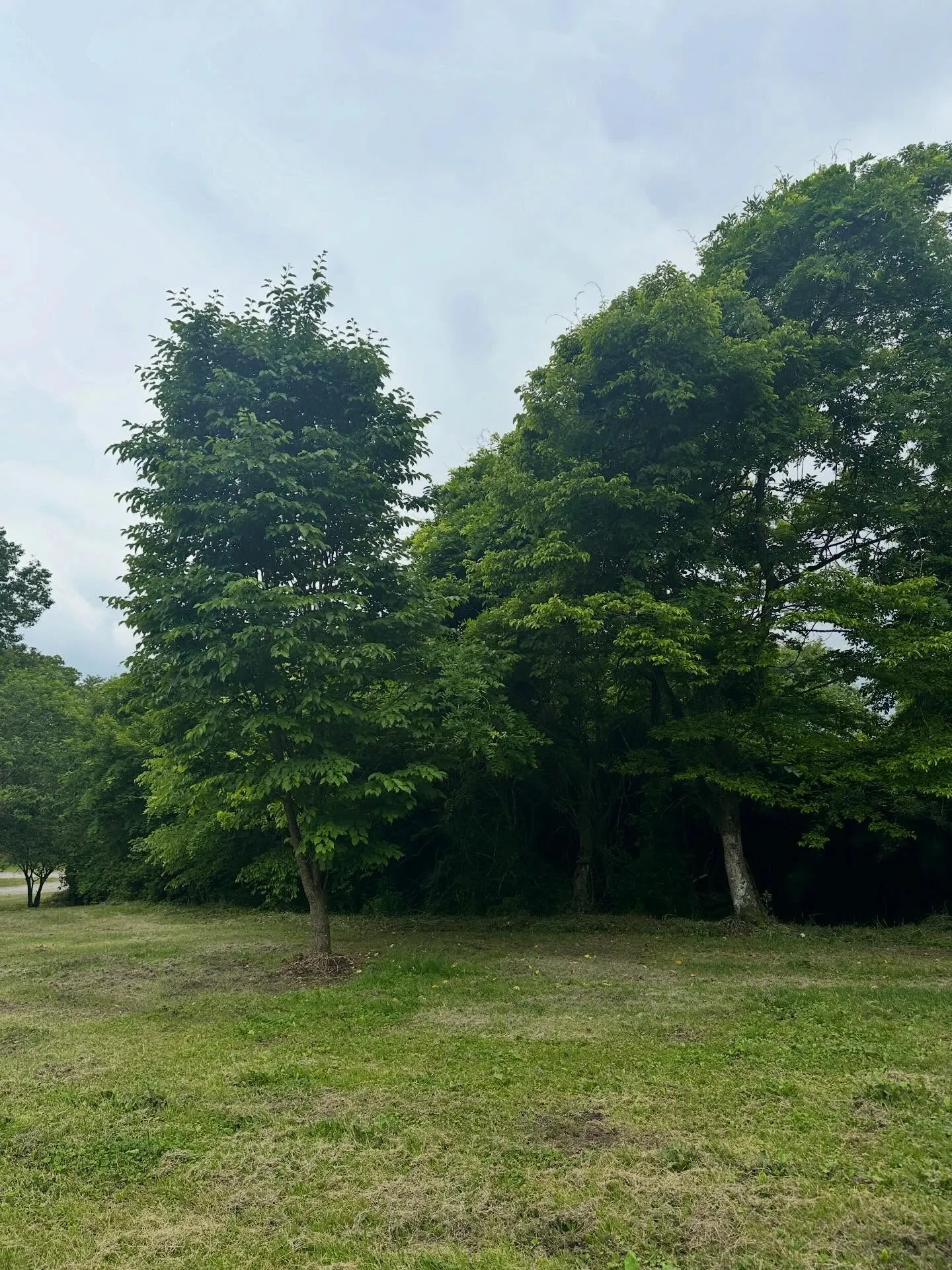 那須でキャンプ
